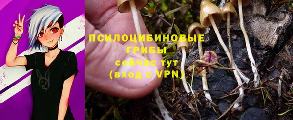 стафф Струнино
