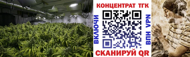 даркнет сайт  Заволжье  Дистиллят ТГК THC oil 