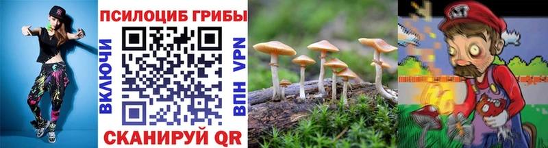 Псилоцибиновые грибы мицелий  наркота  Заволжье 